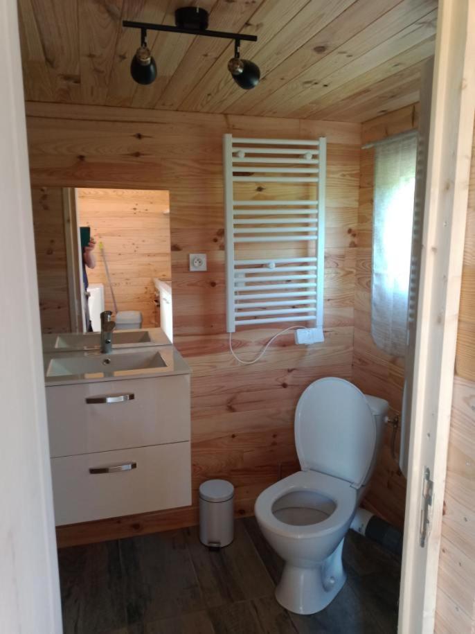 Chalet Au Calme Coullons ภายนอก รูปภาพ